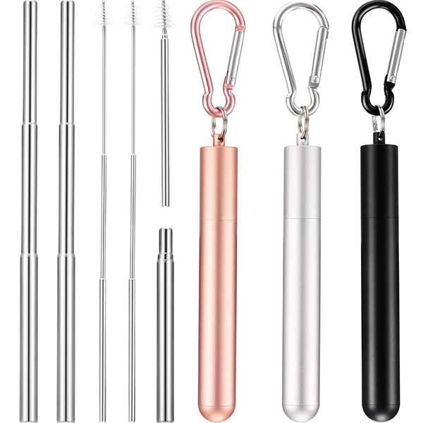 AIAZ199 Collapsible Stainless Steel Straw Kit